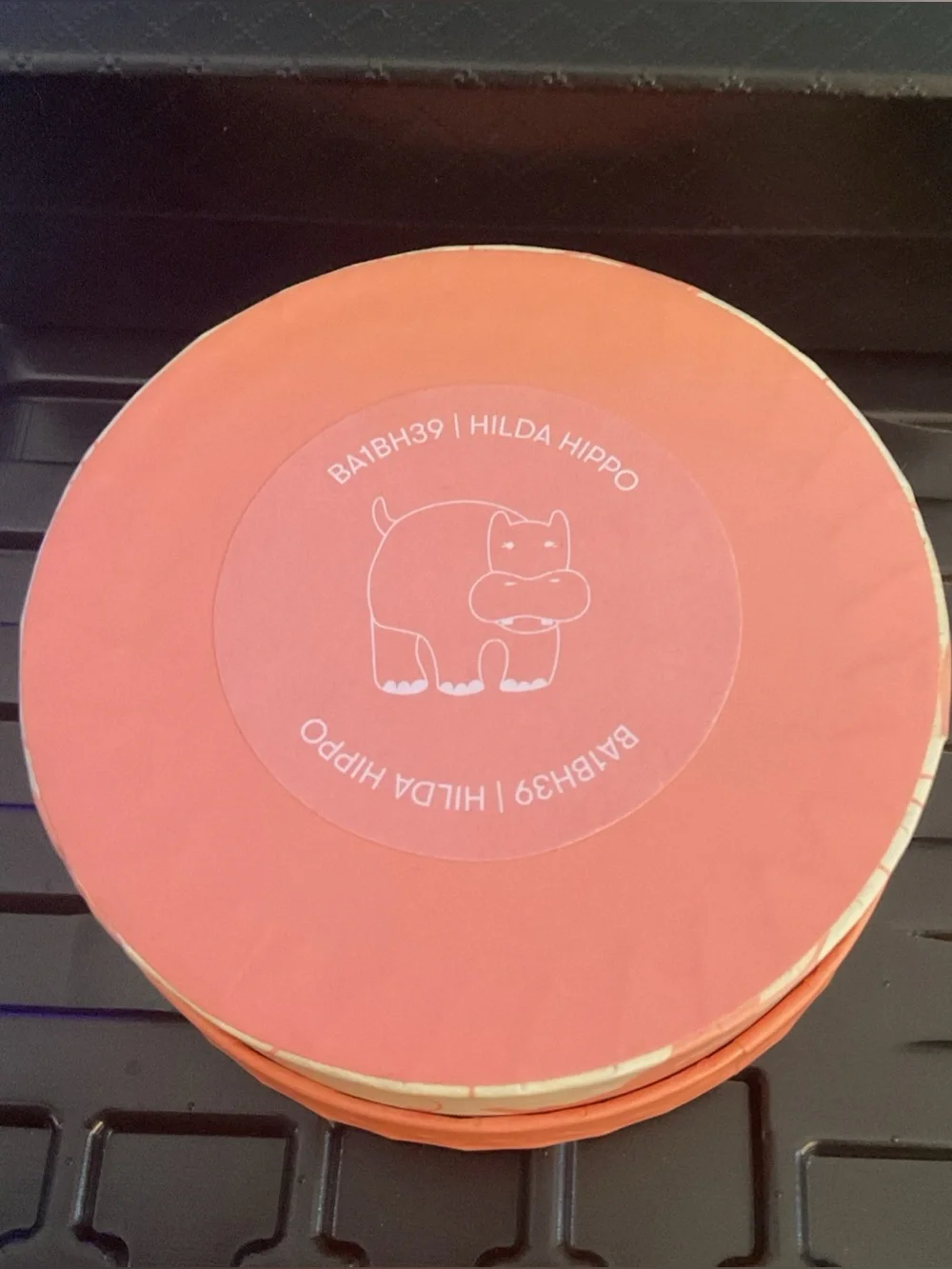 Hilda Hippo Erstwilder Brooch New in Box 2023 Fan Favourite With Gift 🎁